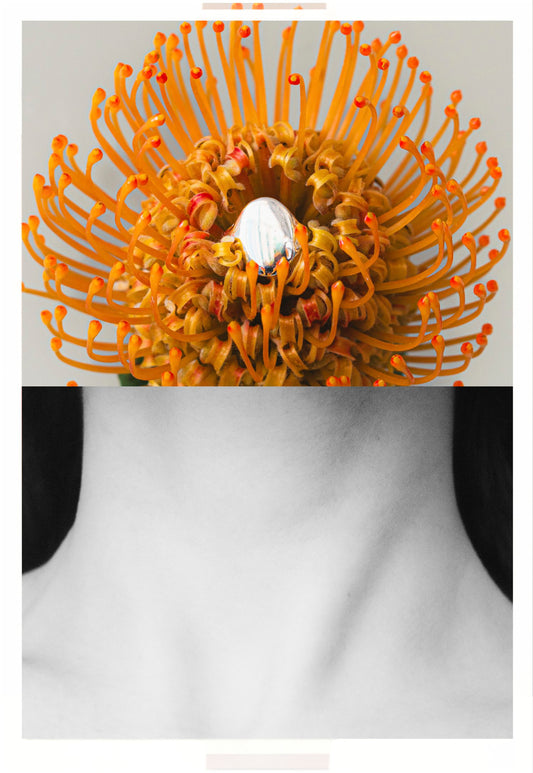 Orange hair bun with red pins on a person's head against a white background