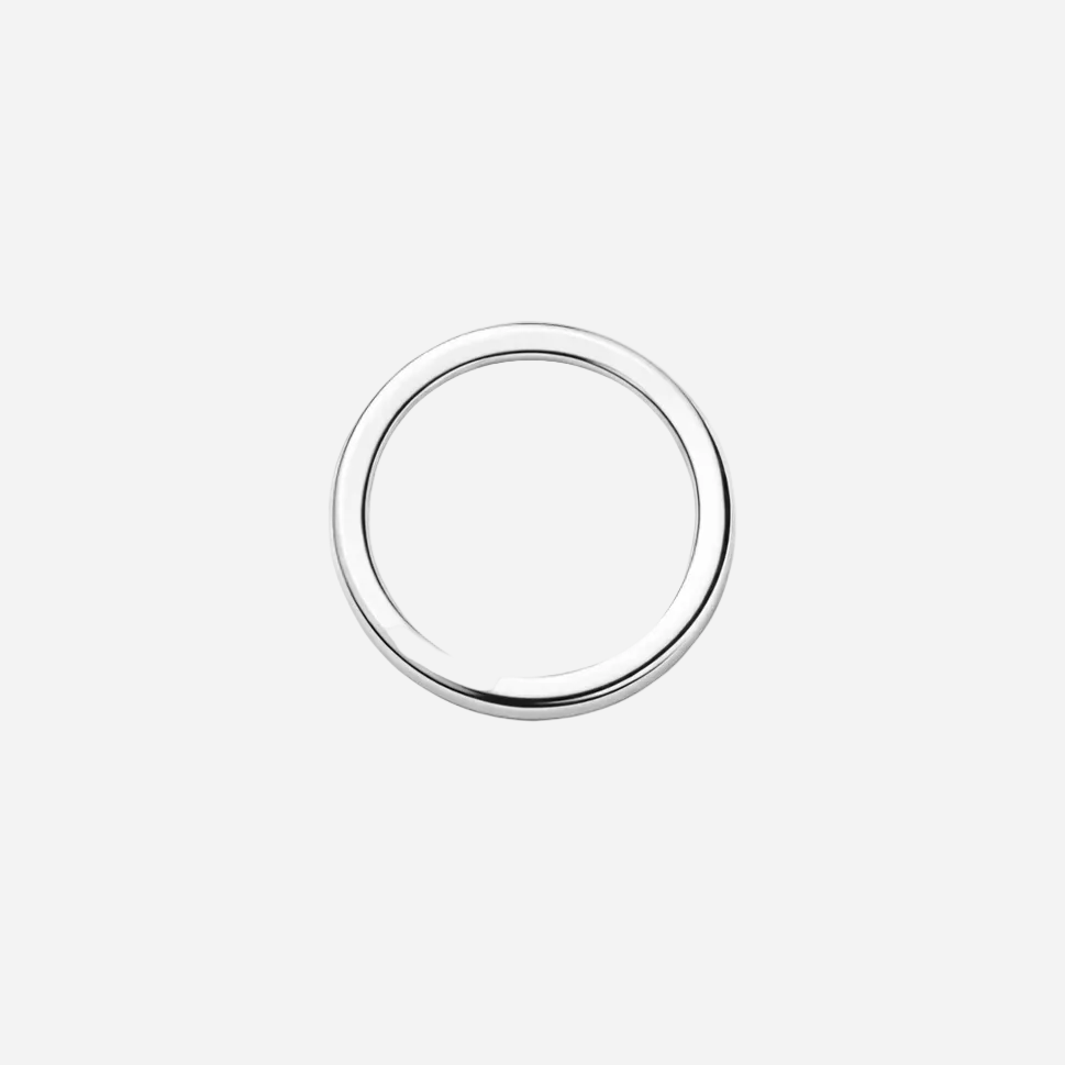 Silver ring on a white background