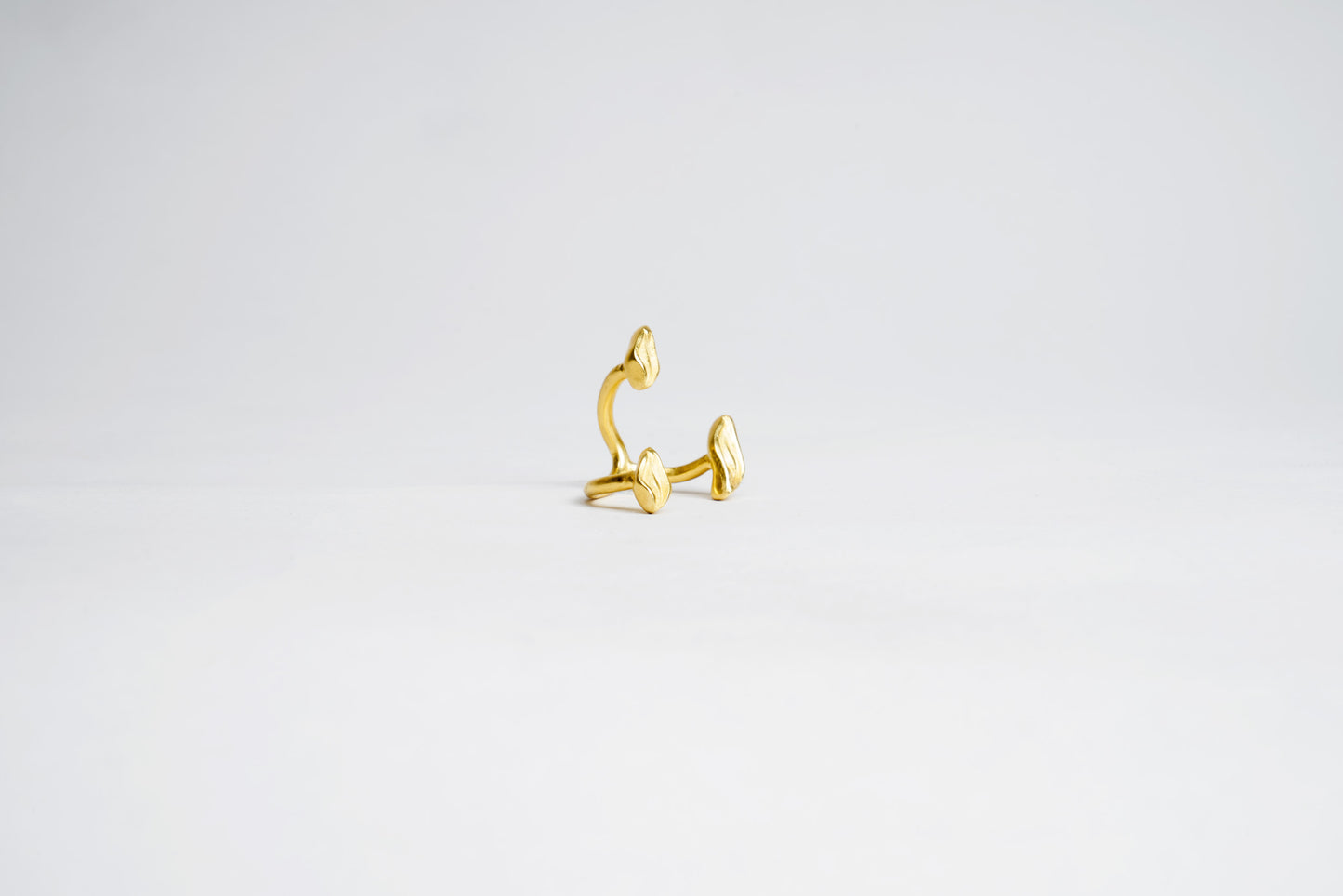 Anillo HERMANDAD