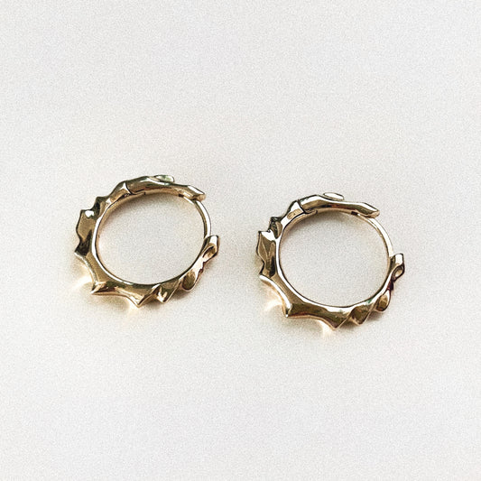 Pair of gold hoop earrings on a white background