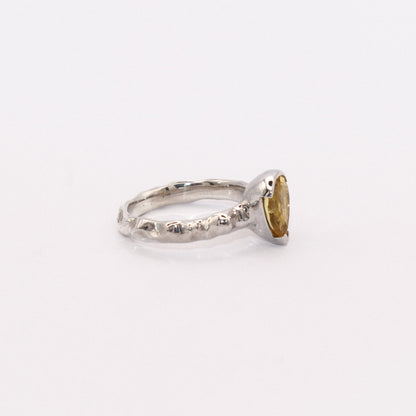 Silver ring with a gold accent on a white background