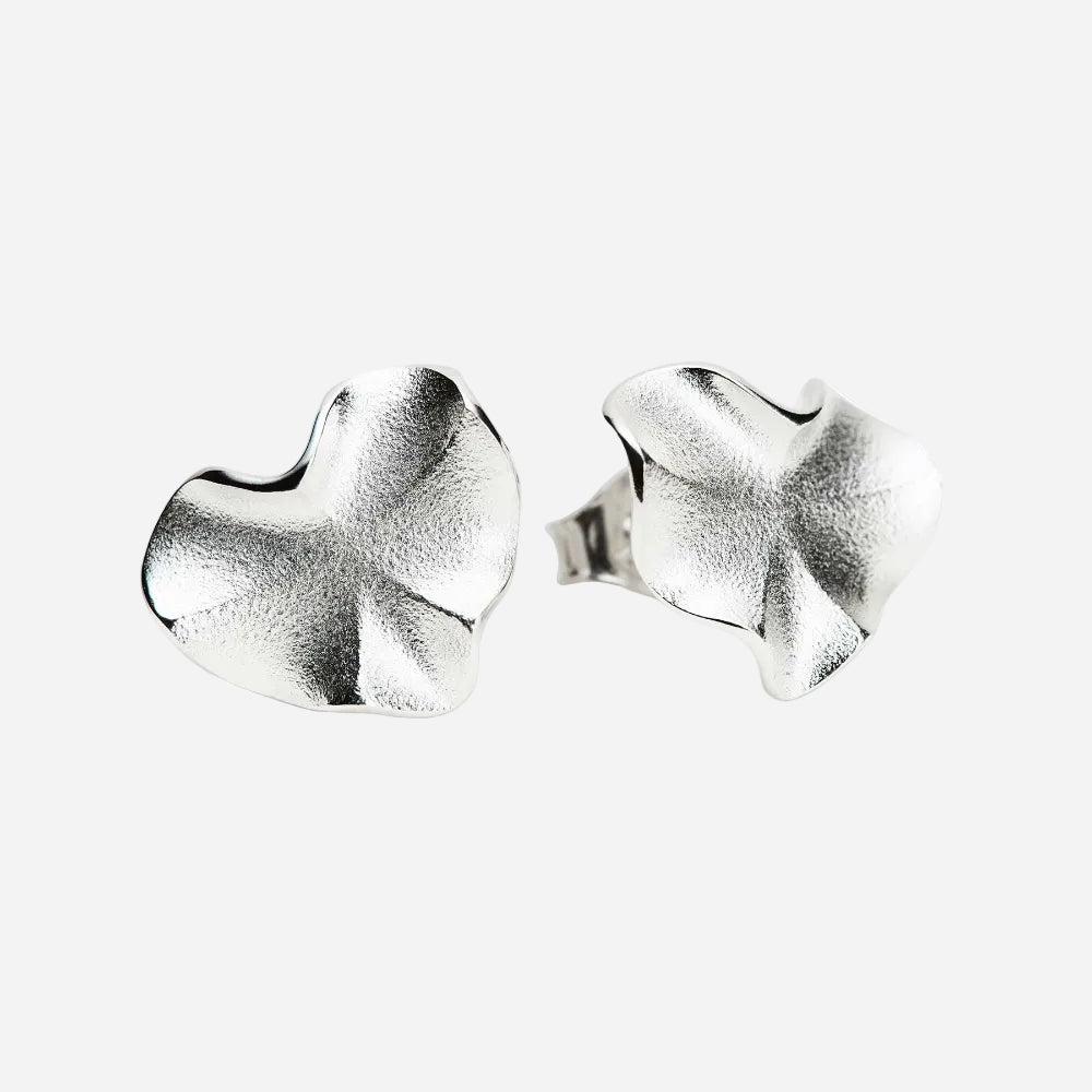 Pair of silver earrings on a white background