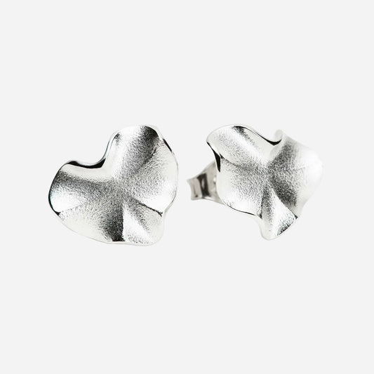 Pair of silver earrings on a white background