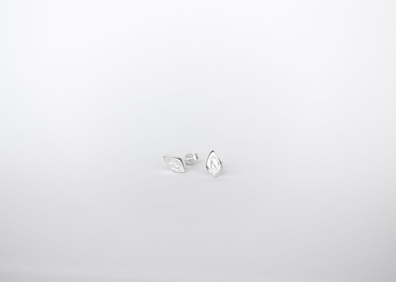 Pair of silver earrings on a light gray background