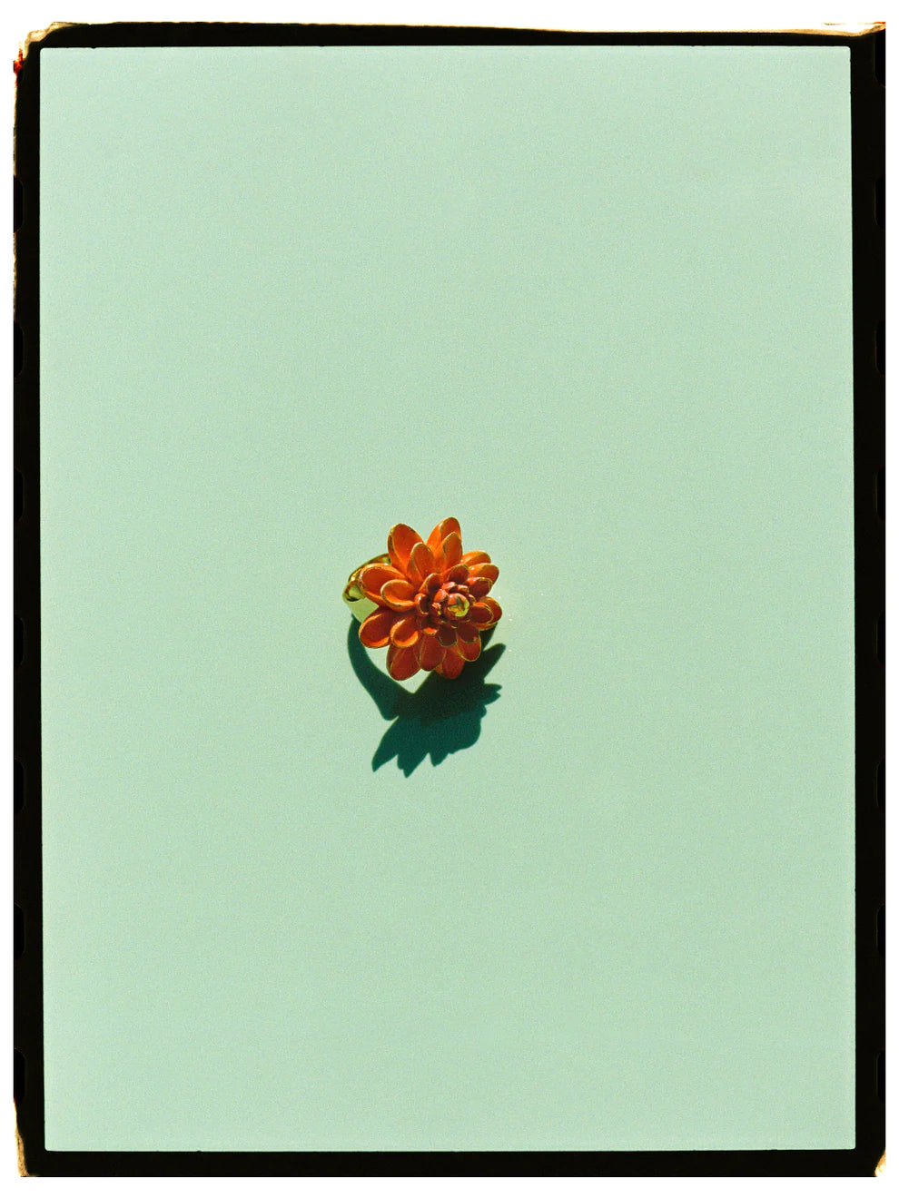 Flower-shaped object on a light green background