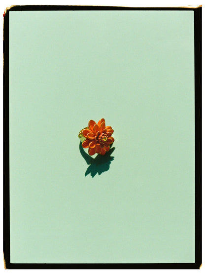 Flower-shaped object on a light green background