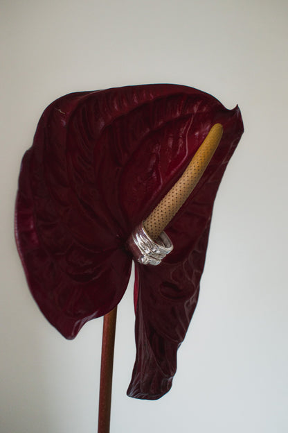 Red anthurium flower with a yellow spadix on a white background