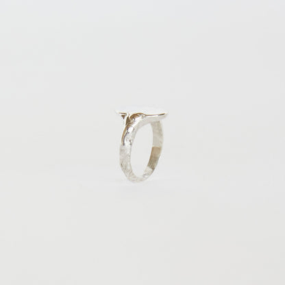 Silver ring on a light gray background
